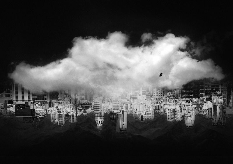 Half Halfphoto preview