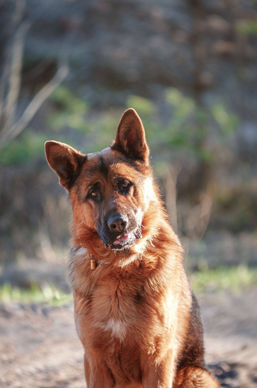 Рич. Автор: Динара Зуйкова , Динара Зуйкова