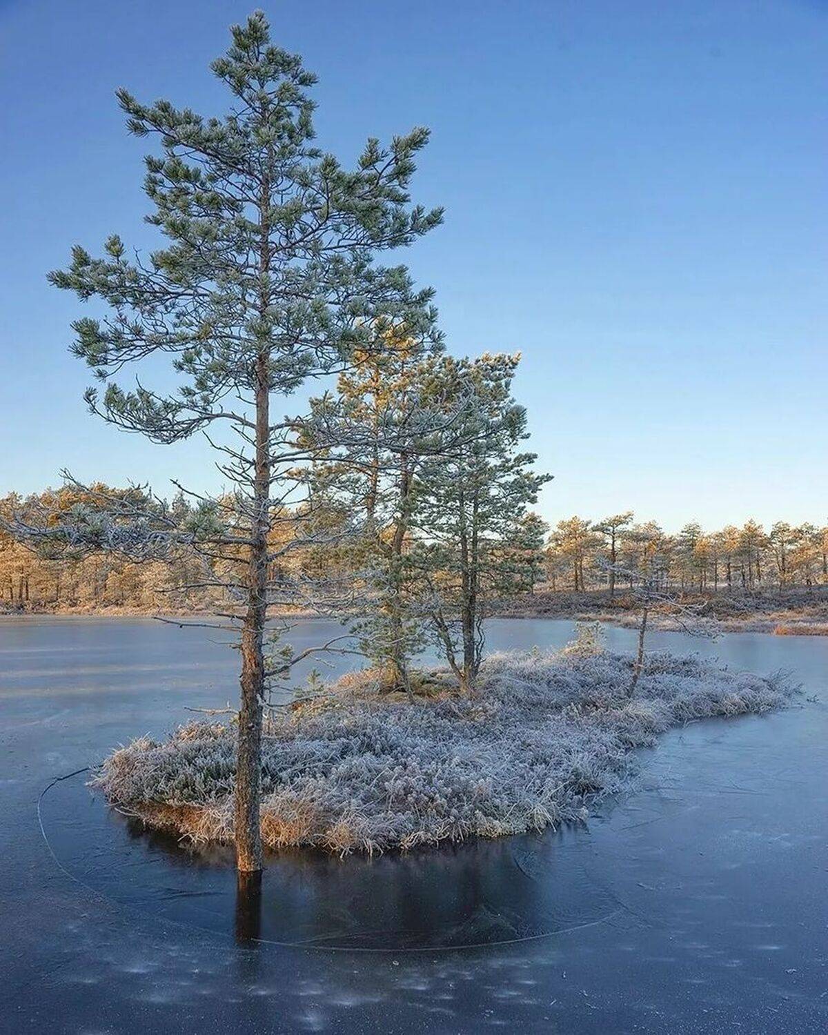 Январский лед. Автор: Петр Косых , Петр Косых