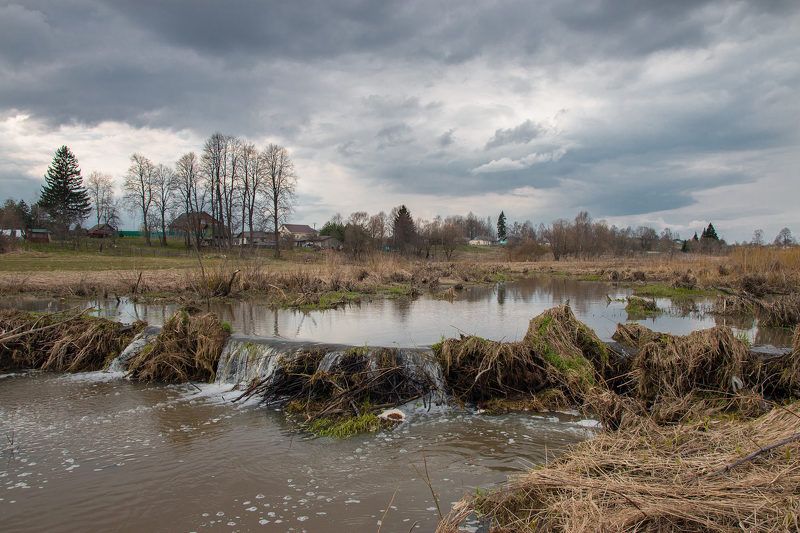 В гости к бобрамphoto preview