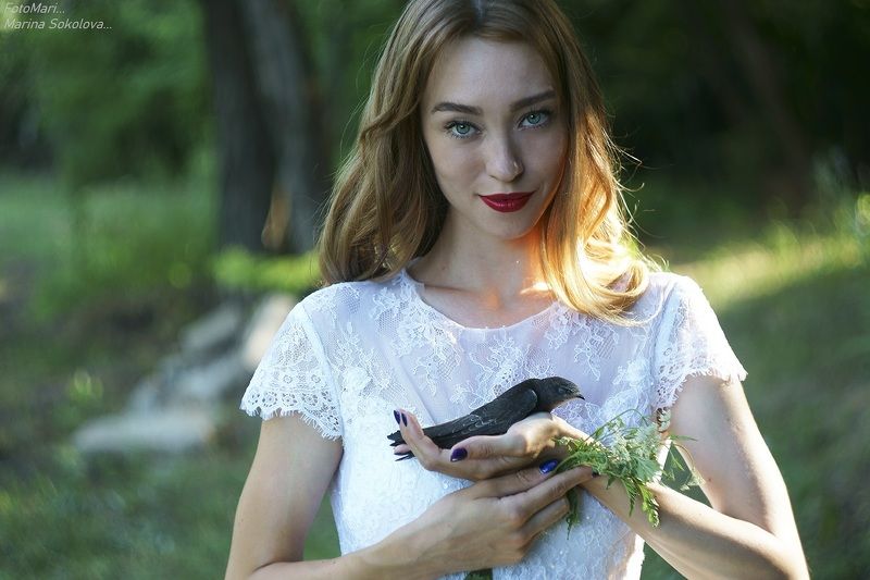 Стриж...photo preview