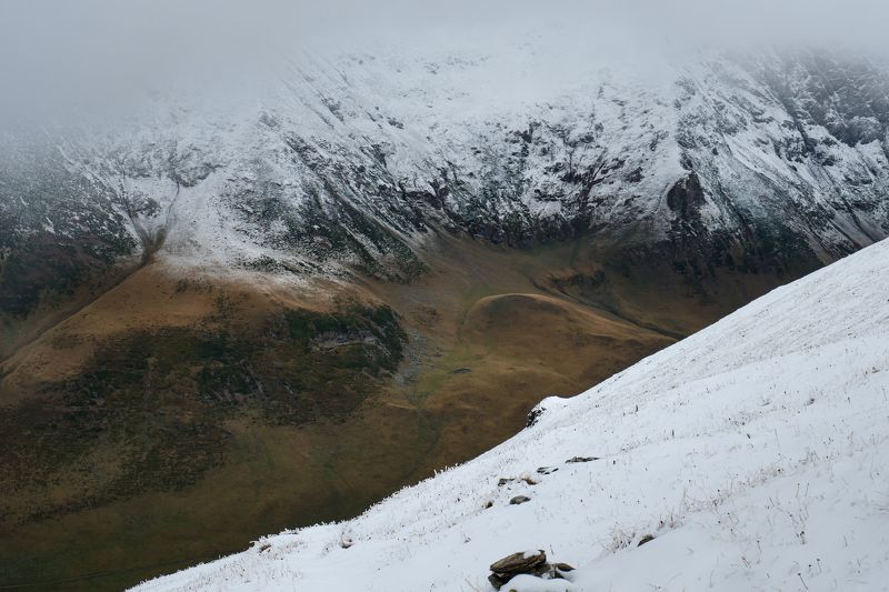 горы, снег, лес Граница снега 2photo preview