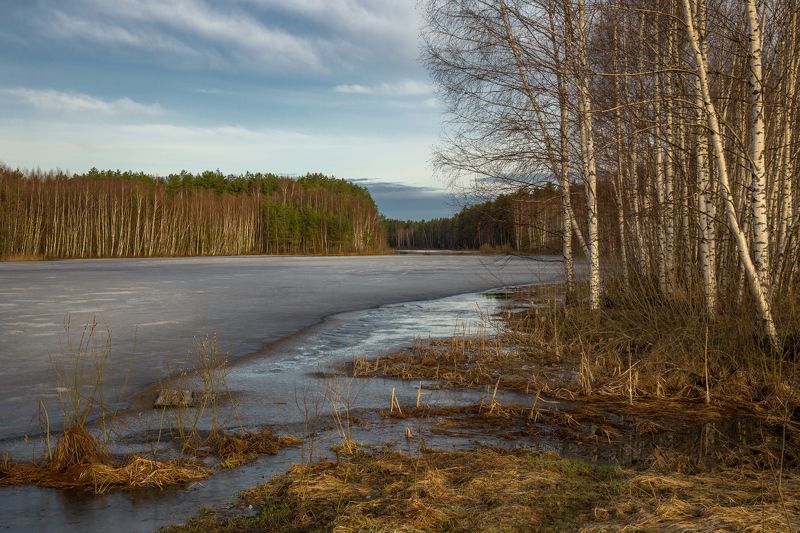 апрель утро лед отражение черная порза Ленивый рассвет фото превью