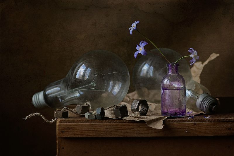 Первоцветыphoto preview