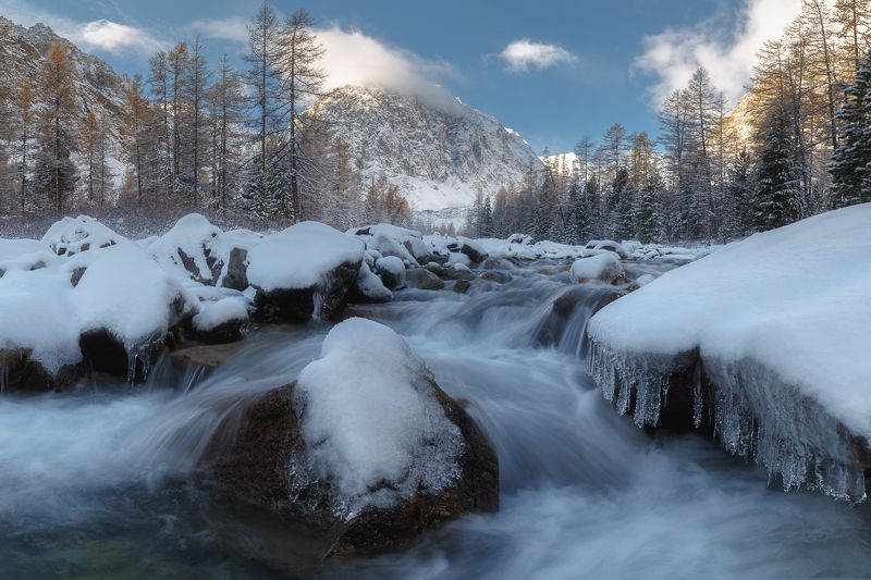 алтай Долина реки Актруphoto preview