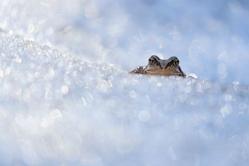 пробуждениеphoto preview