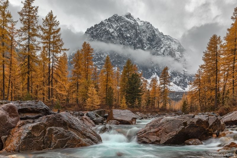 алтай, altai, осень, autumn, горы, mountains Караташphoto preview