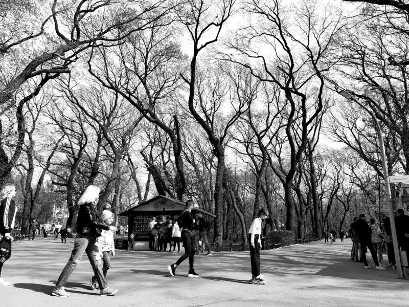 sunday in the park, park, sunday, городской пейзаж, стрит, b&w, жанр, стрит/репортаж photo preview