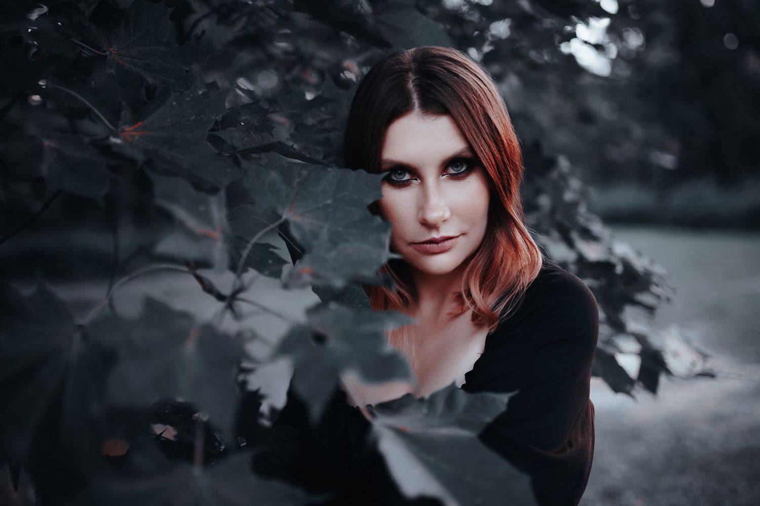 Автор: Полина Евтифеева , Полина Евтифеева