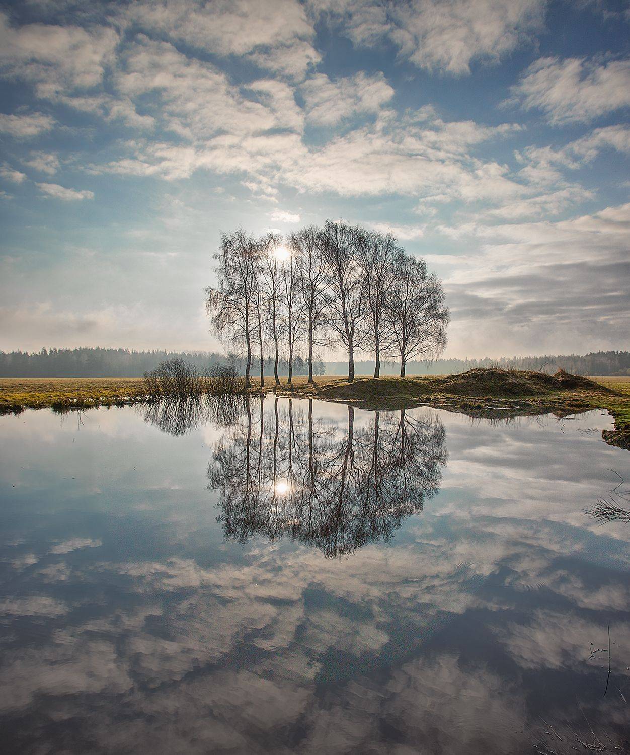 , Николай Андреев