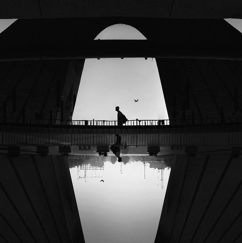 Morning Fogphoto preview