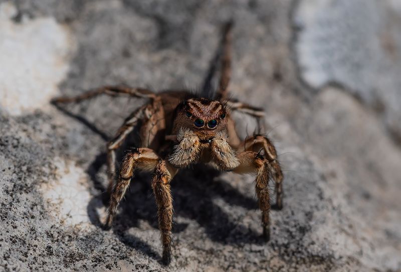 Серьёзный пареньphoto preview