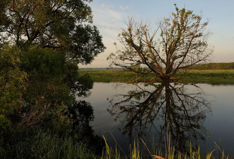 Про отражение и первые лучи...photo preview