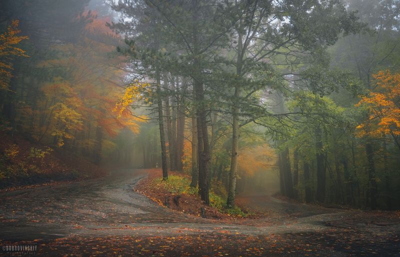 крым, дорога, ай-петри, осень, туман Дорогами осениphoto preview