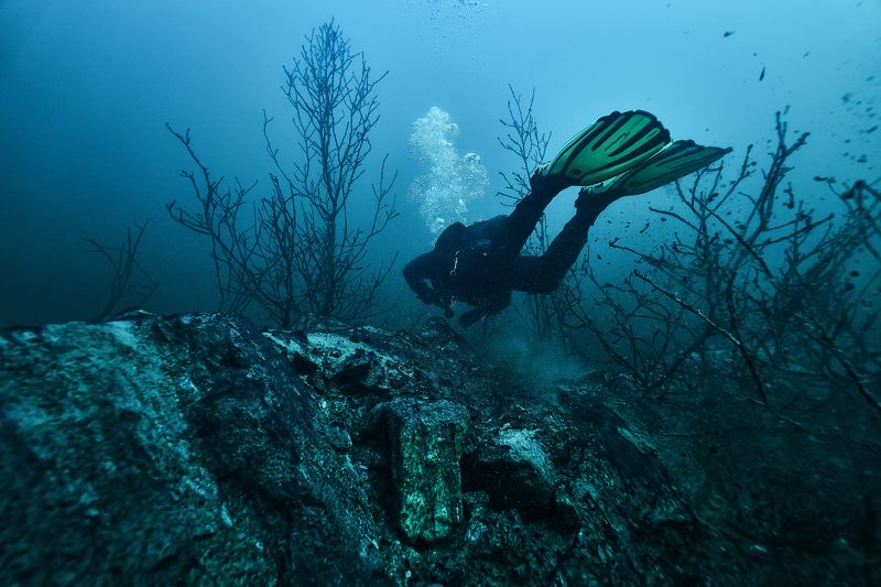 Рускеалаphoto preview