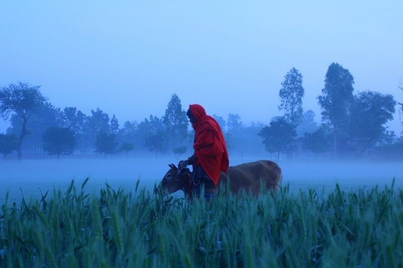 Winter  Love and carwphoto preview