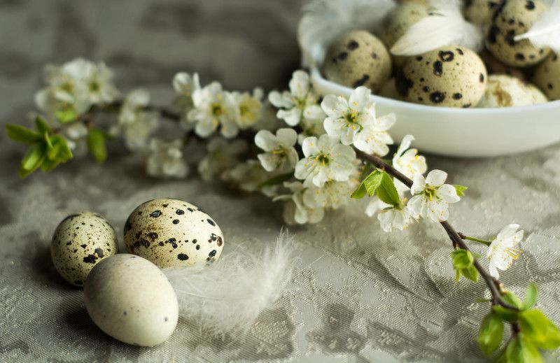 светлая пасхаphoto preview