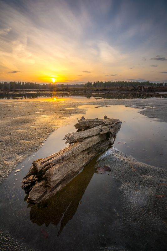 весна река лес урал закат Речной драконphoto preview