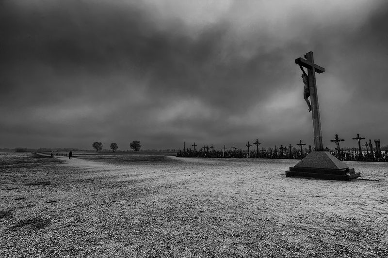 Quo vadisphoto preview