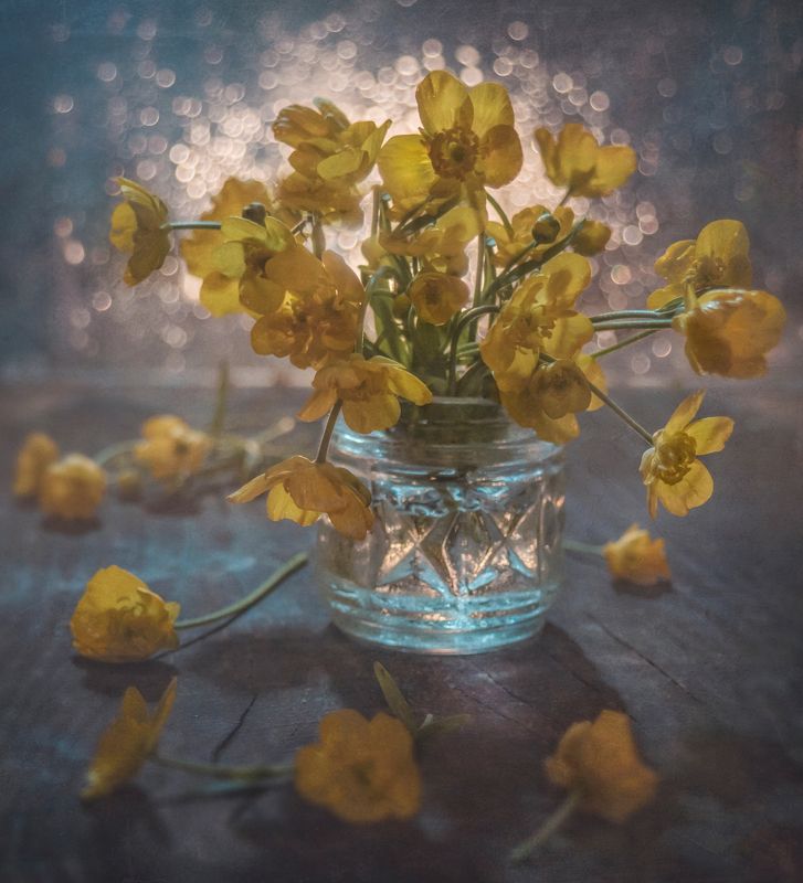 цветы,жёлтый,бокэ,баночка,букетик Жёлтенькие 2...photo preview