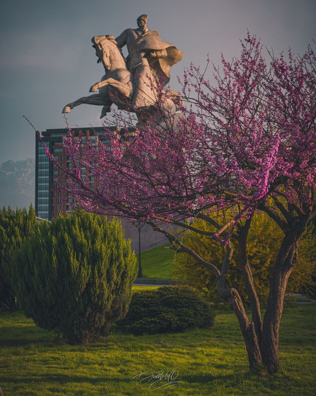 spring, mountains, ossetia, tree, sunlights, city, architecture, sony alpha Spring to coming...photo preview