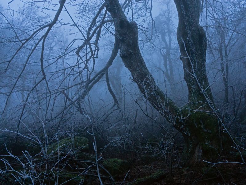 туман, кмв, развалка Сумерки Развальскиеphoto preview