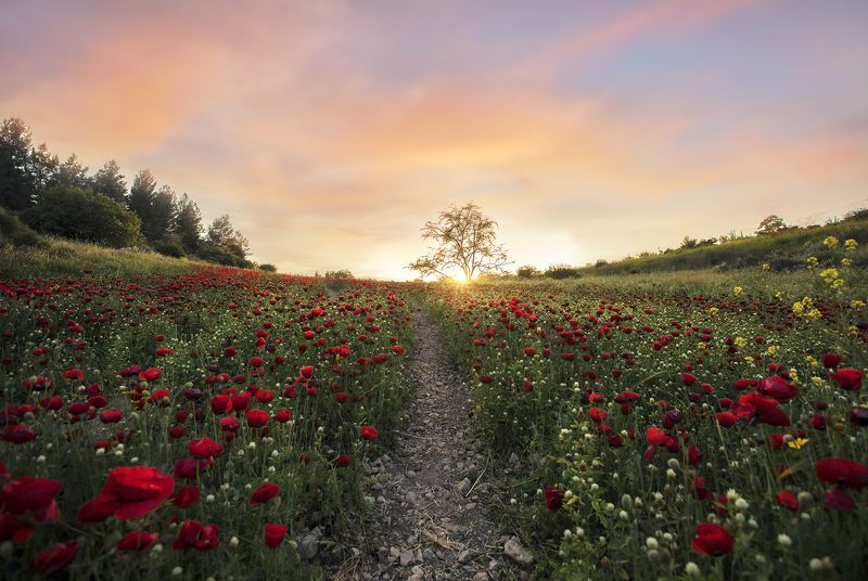 на закатеphoto preview