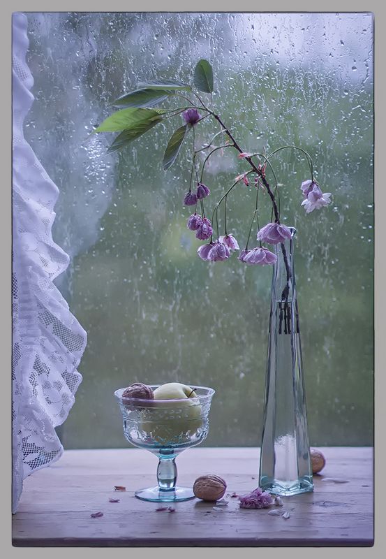 Ветер с дождёмphoto preview