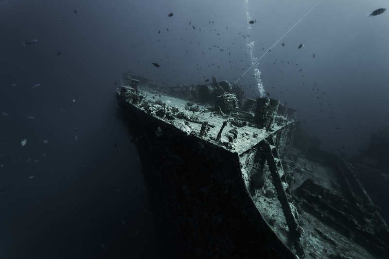 дайвинг, подводное фото, тистельгорм Тистельгормphoto preview