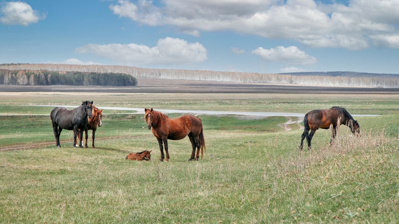 южный урал, урал Природа Южного Уралаphoto preview