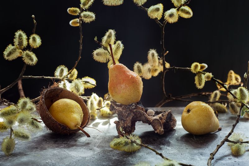 Груши с вербойphoto preview