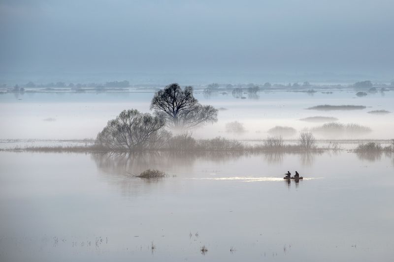 Разлив на Океphoto preview