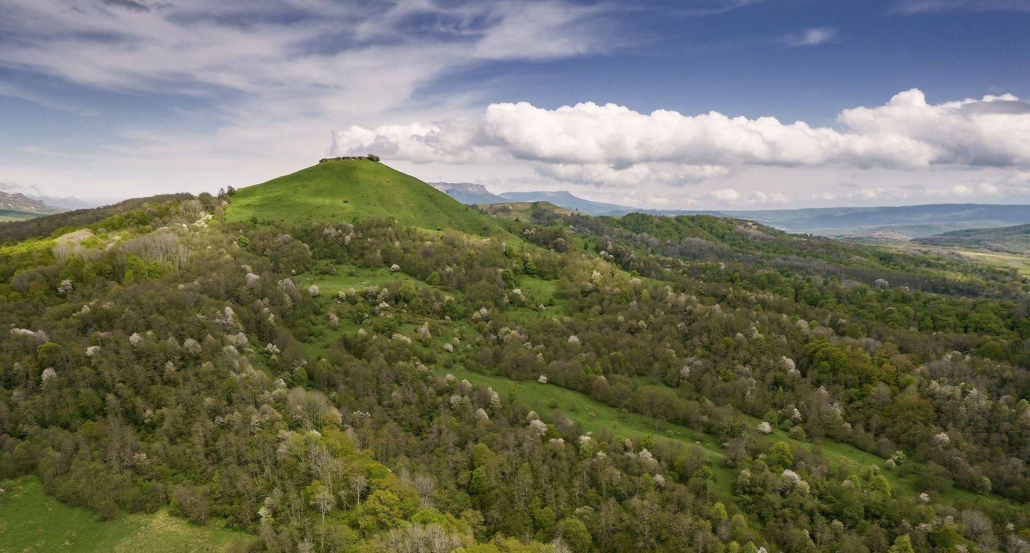 .... Автор: Борис Пирог , Борис Пирог