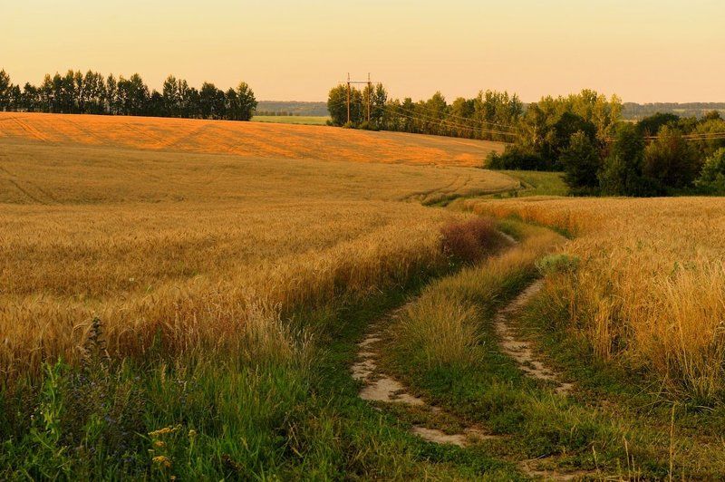 В полях...photo preview