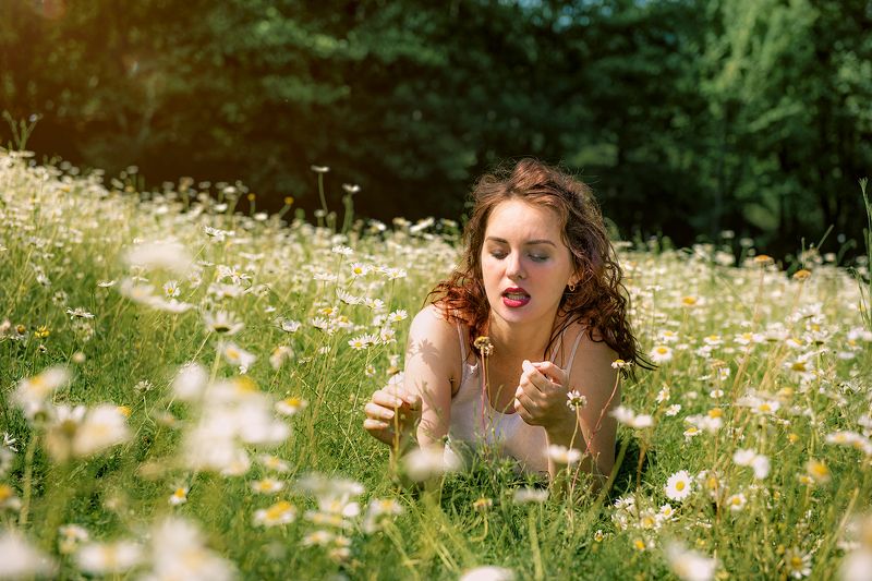 ромашки природа девушка портрет поле цветы Ромашковое настроениеphoto preview