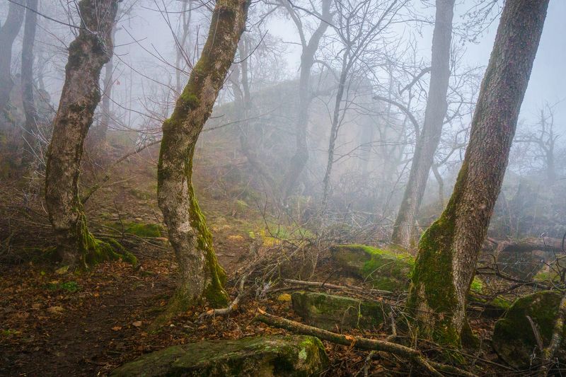 туман, кмв, развалка, пейзаж же *****photo preview