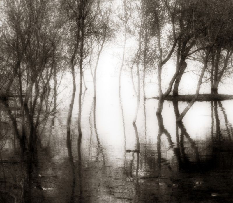 Весенняя мелодияphoto preview