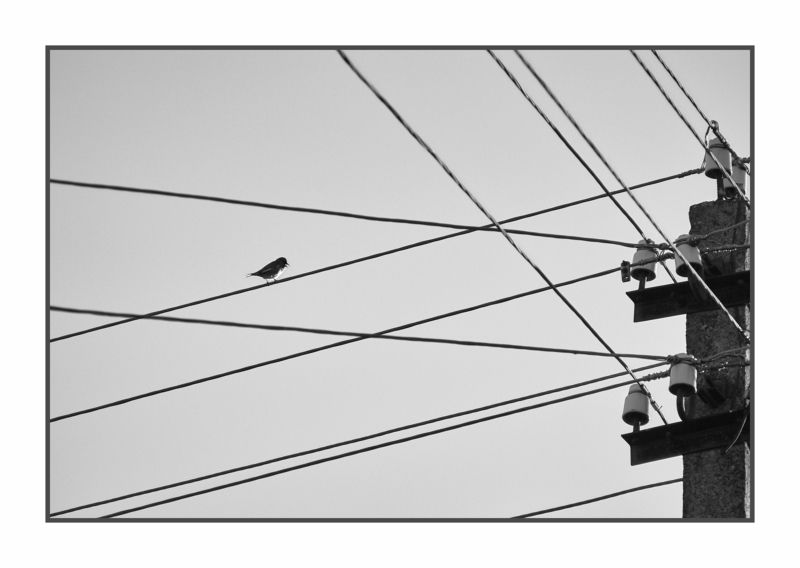 offlinephoto preview