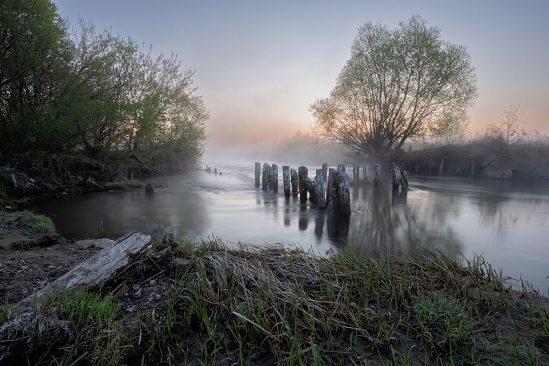 Пробуждающее утроphoto preview