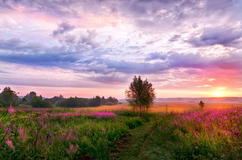 Утро в Сельцеphoto preview