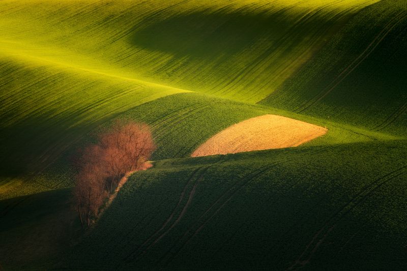 In wavesphoto preview