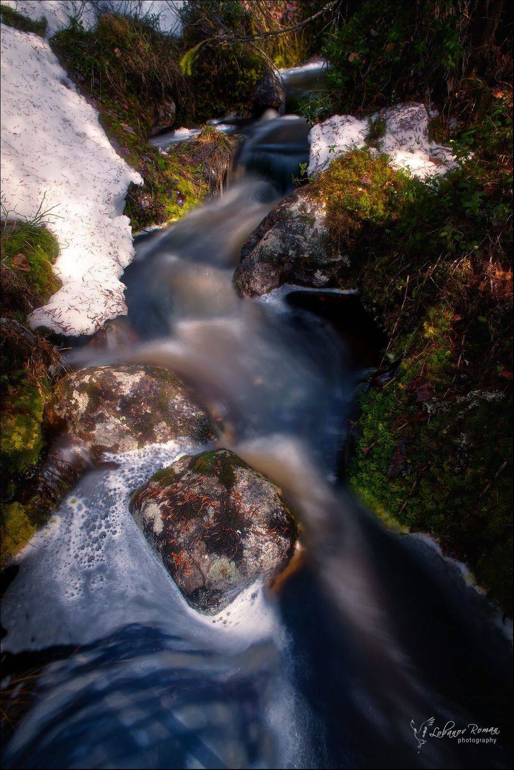 , Лобанов Роман