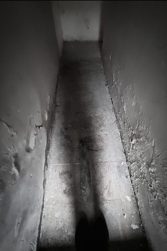 Mobile photography black and whitephoto preview