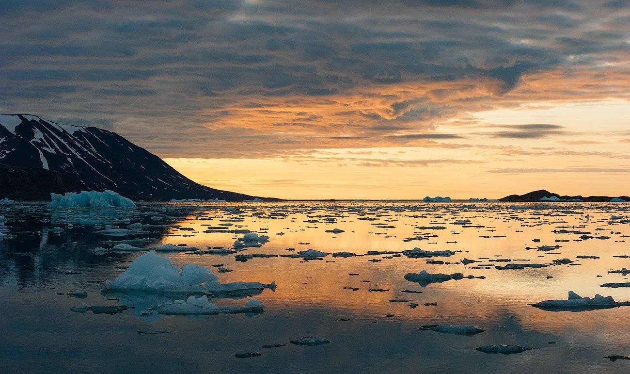 , Андрей Ведерников