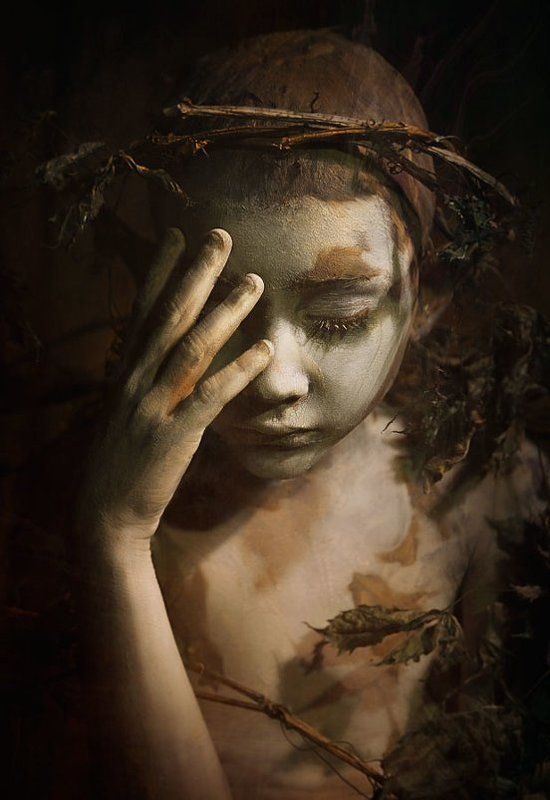 Forest boyphoto preview