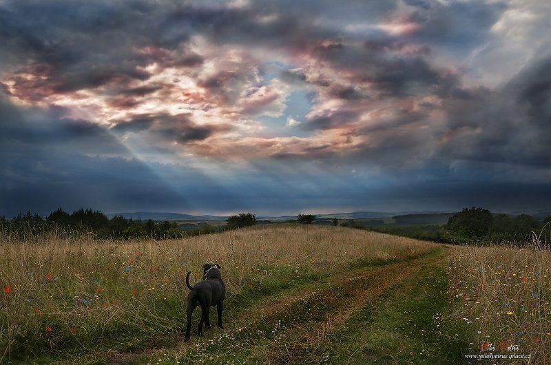 небесный окноphoto preview