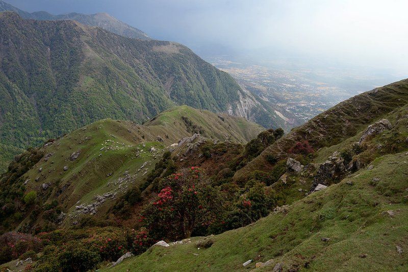 Предгорья Гималаевphoto preview