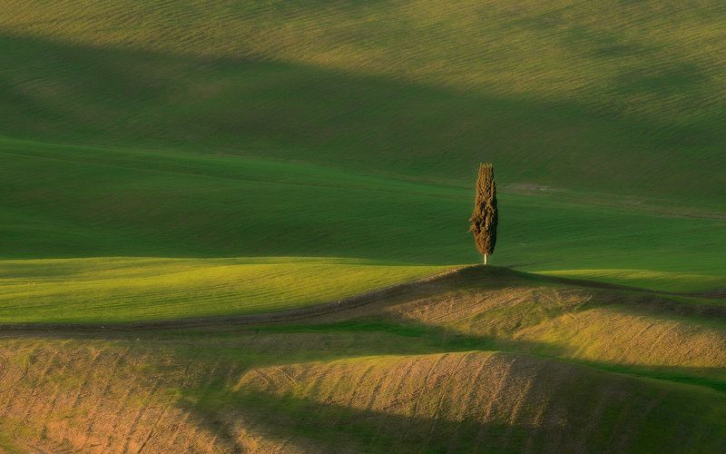 На страже Тосканыphoto preview