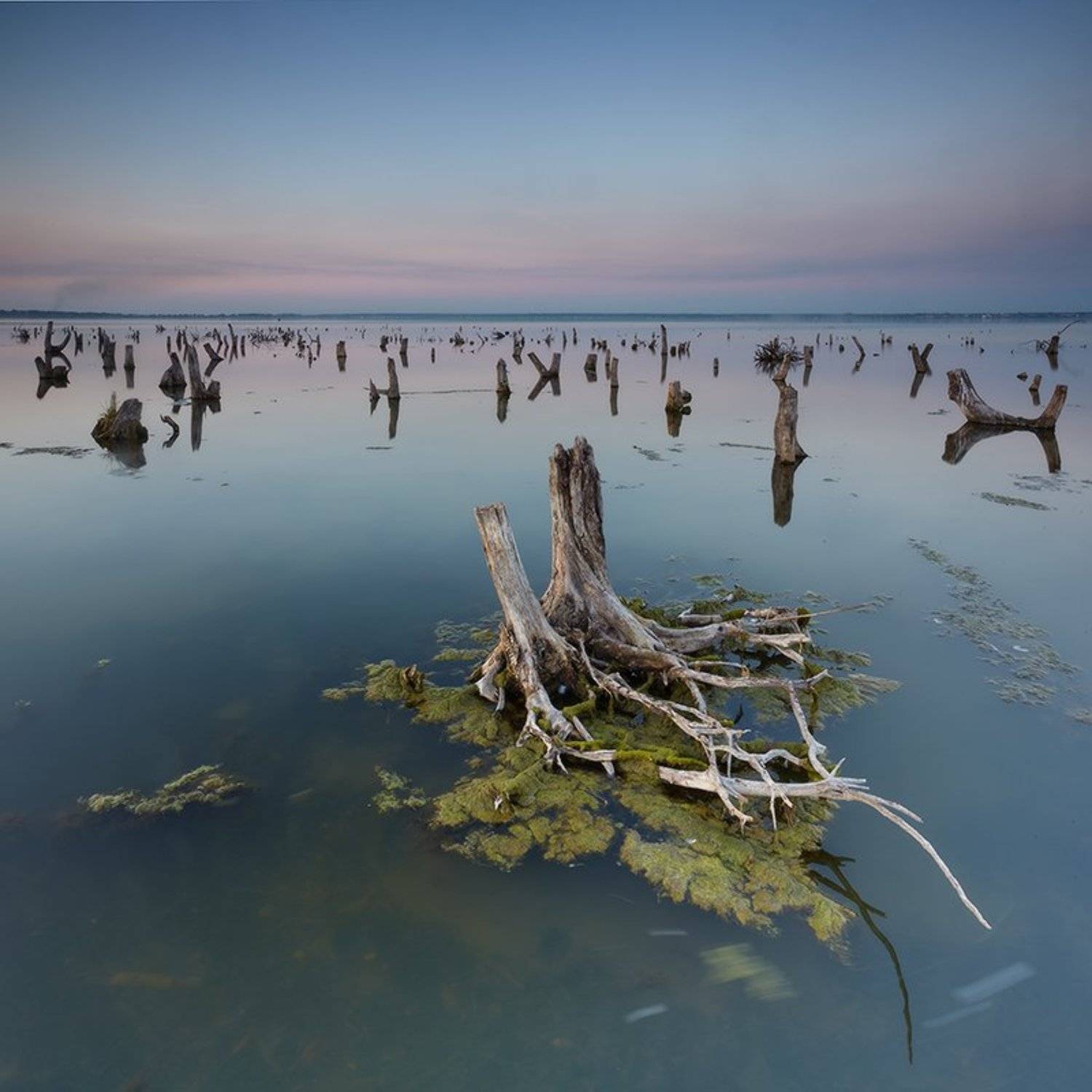 В гости к Водяному. Автор: Михаил Трахтенберг , Михаил Трахтенберг