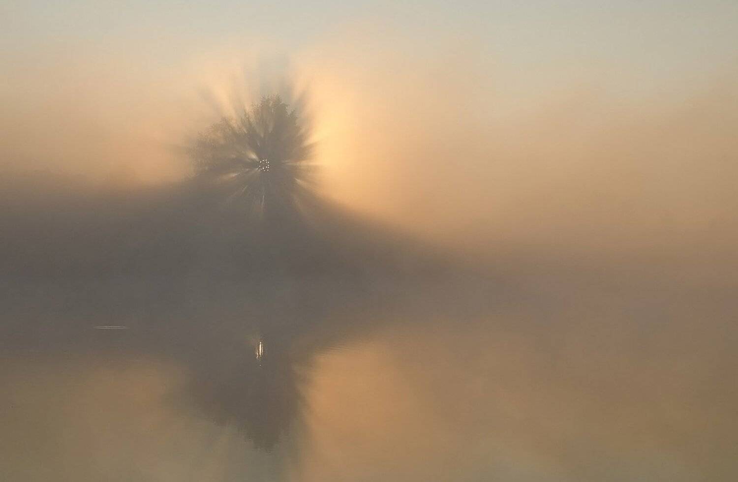 Туманность Андромеды. Автор: Михаил Агеев утро, рассвет, восход, туман, лето, архангельское, Михаил Агеев